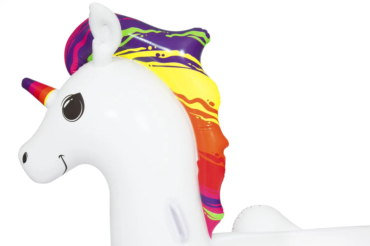 RIDER LICORNE 224cm