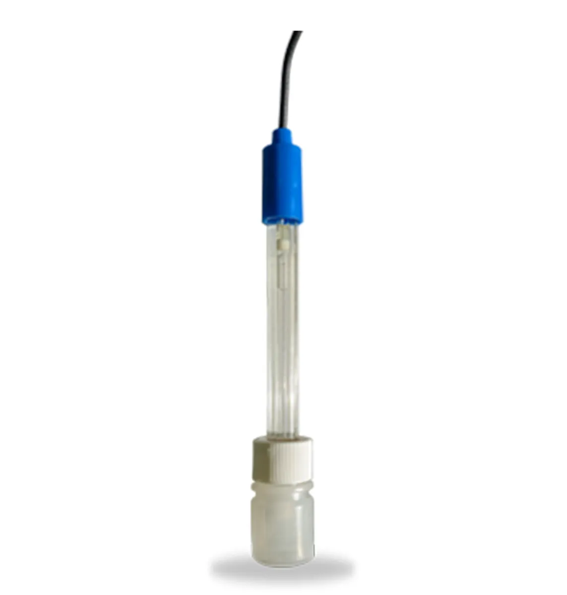 SONDE PH AVEC CABLE 6 M RACER COMPACT/SERENITY